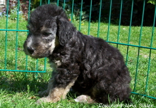 Alanus 07052006-2.jpg